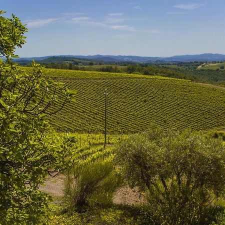 Fattoria Di Magliano Winery Villa Маляно ин Тоскана Стая снимка