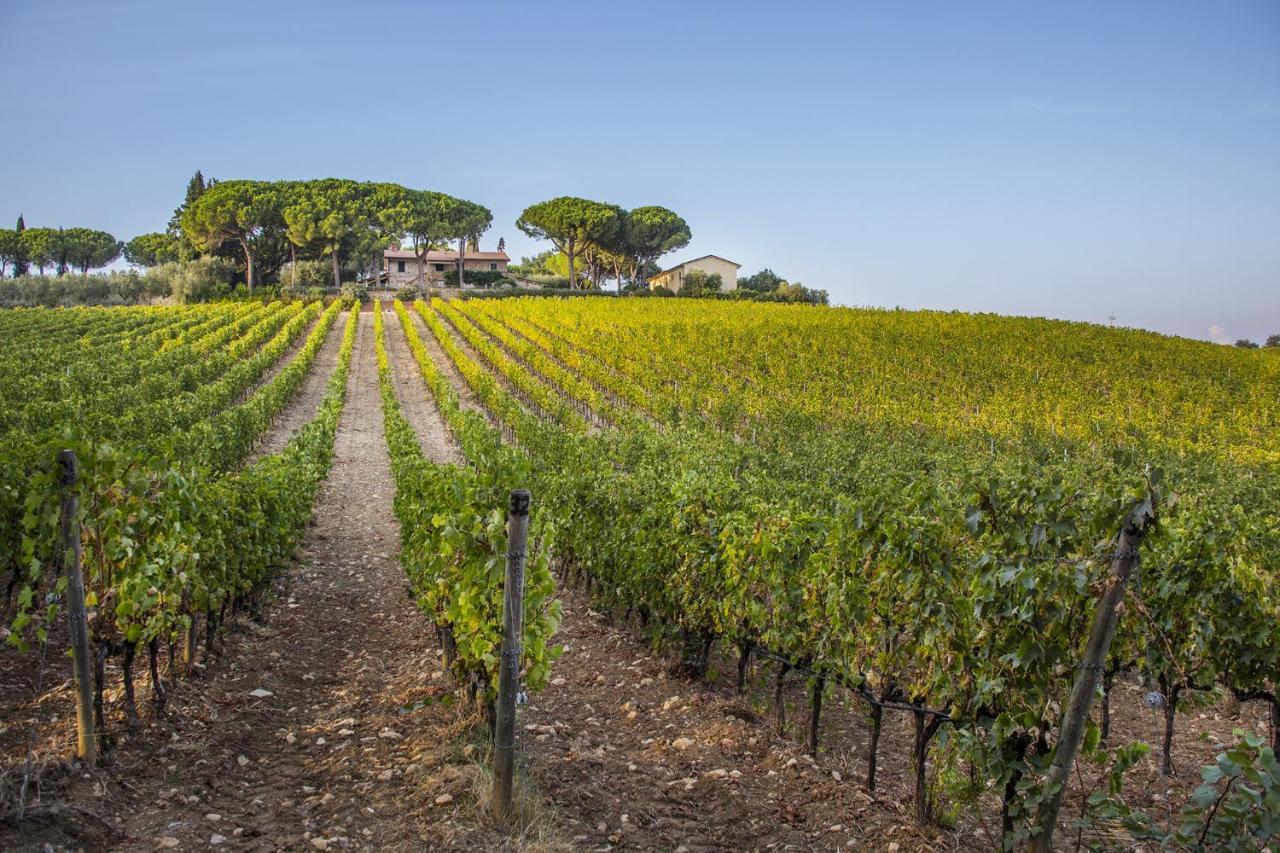 Fattoria Di Magliano Winery Villa Маляно ин Тоскана Екстериор снимка
