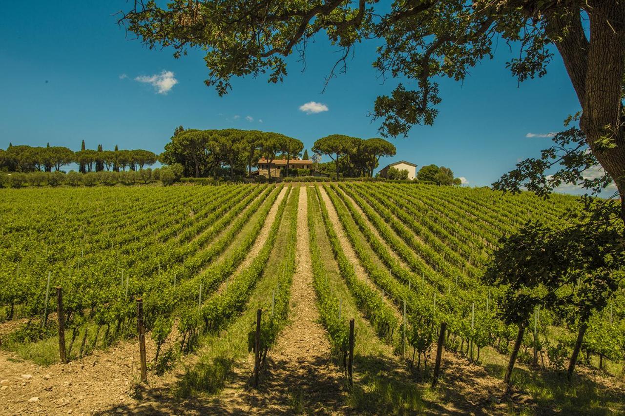 Fattoria Di Magliano Winery Villa Маляно ин Тоскана Екстериор снимка