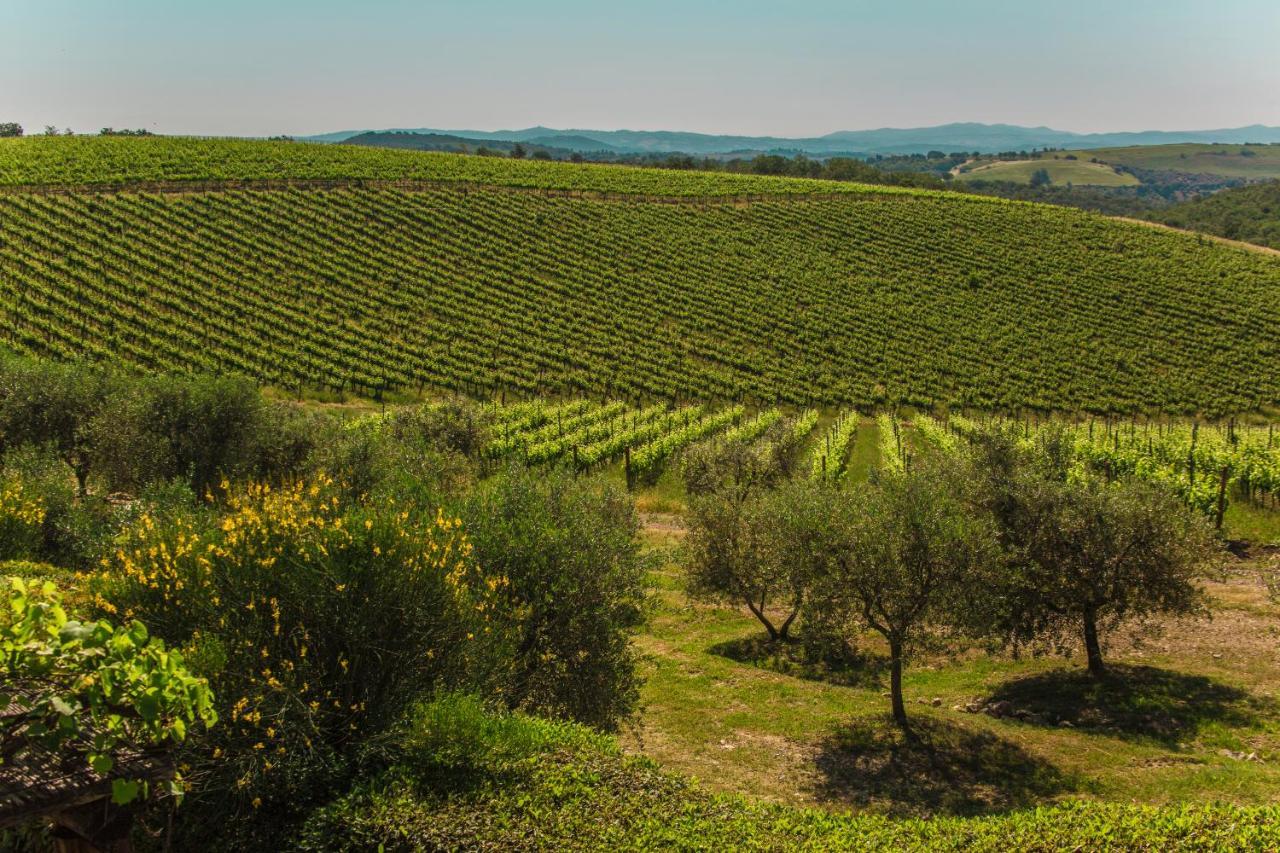 Fattoria Di Magliano Winery Villa Маляно ин Тоскана Екстериор снимка